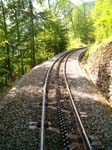 Y Gleis im Wangenwald