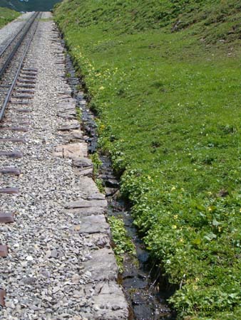 Bankett oberhalb Planalp