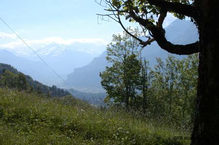 Blick ins Haslital