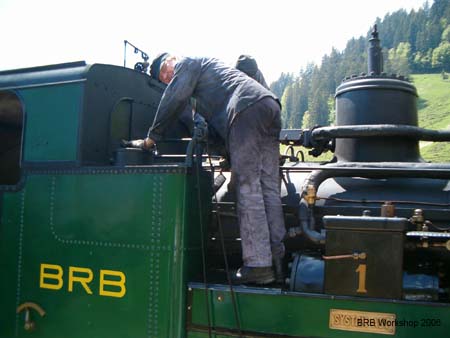 Fridolins letzte reinigung auf Planalp