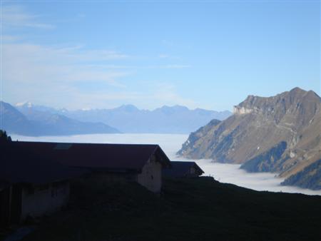 brienz029